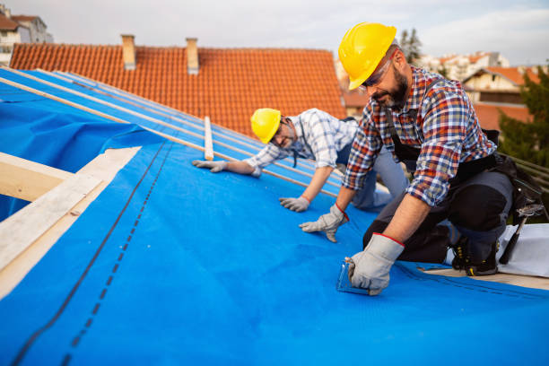 Best New Roof Installation  in Mountain Iron, MN