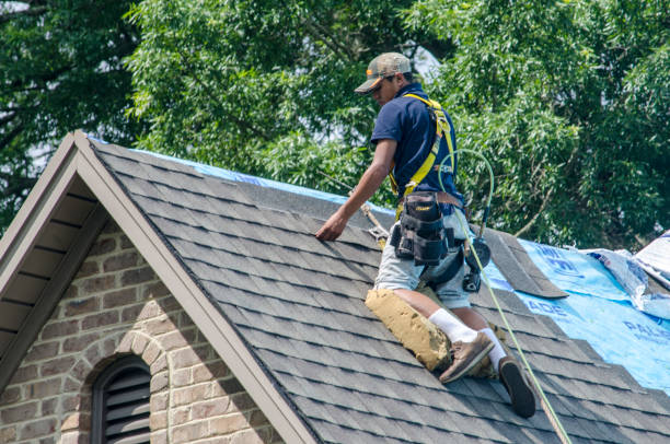 Best Residential Roof Replacement  in Mountain Iron, MN
